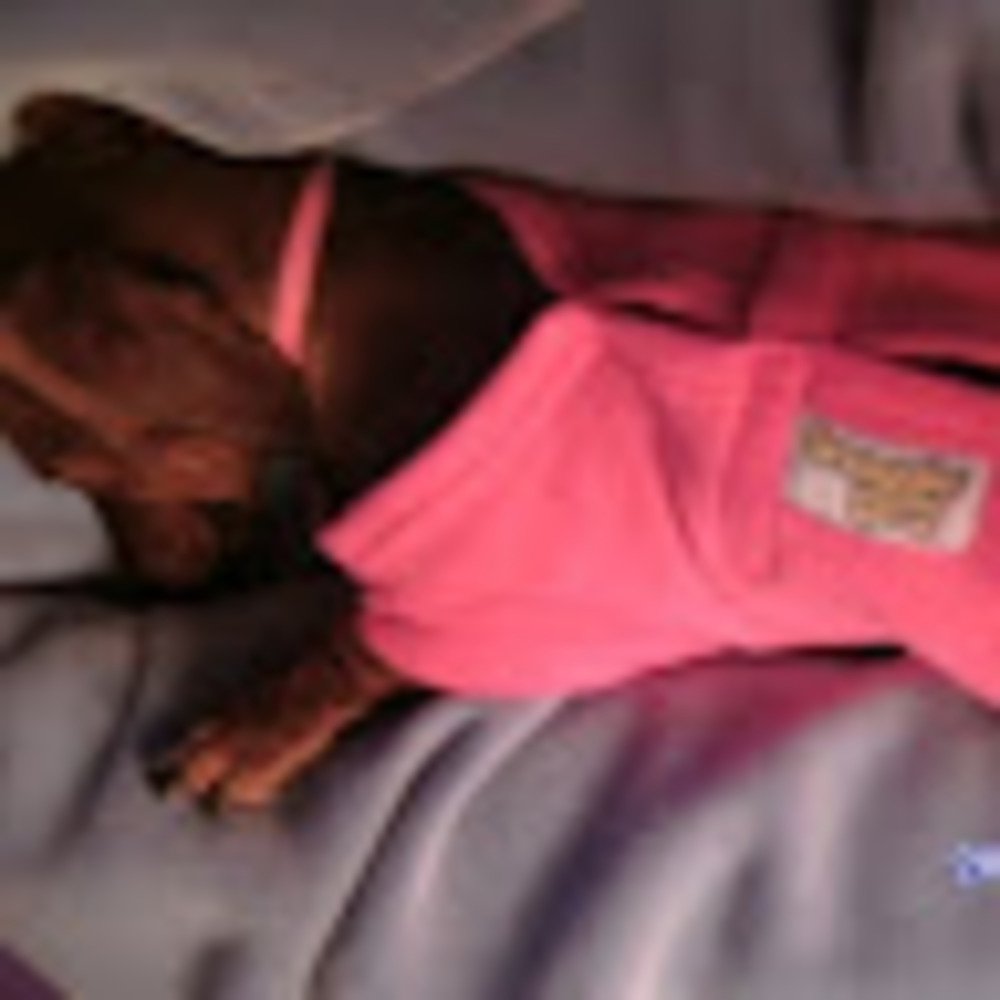 Meet your Posher, Wendy